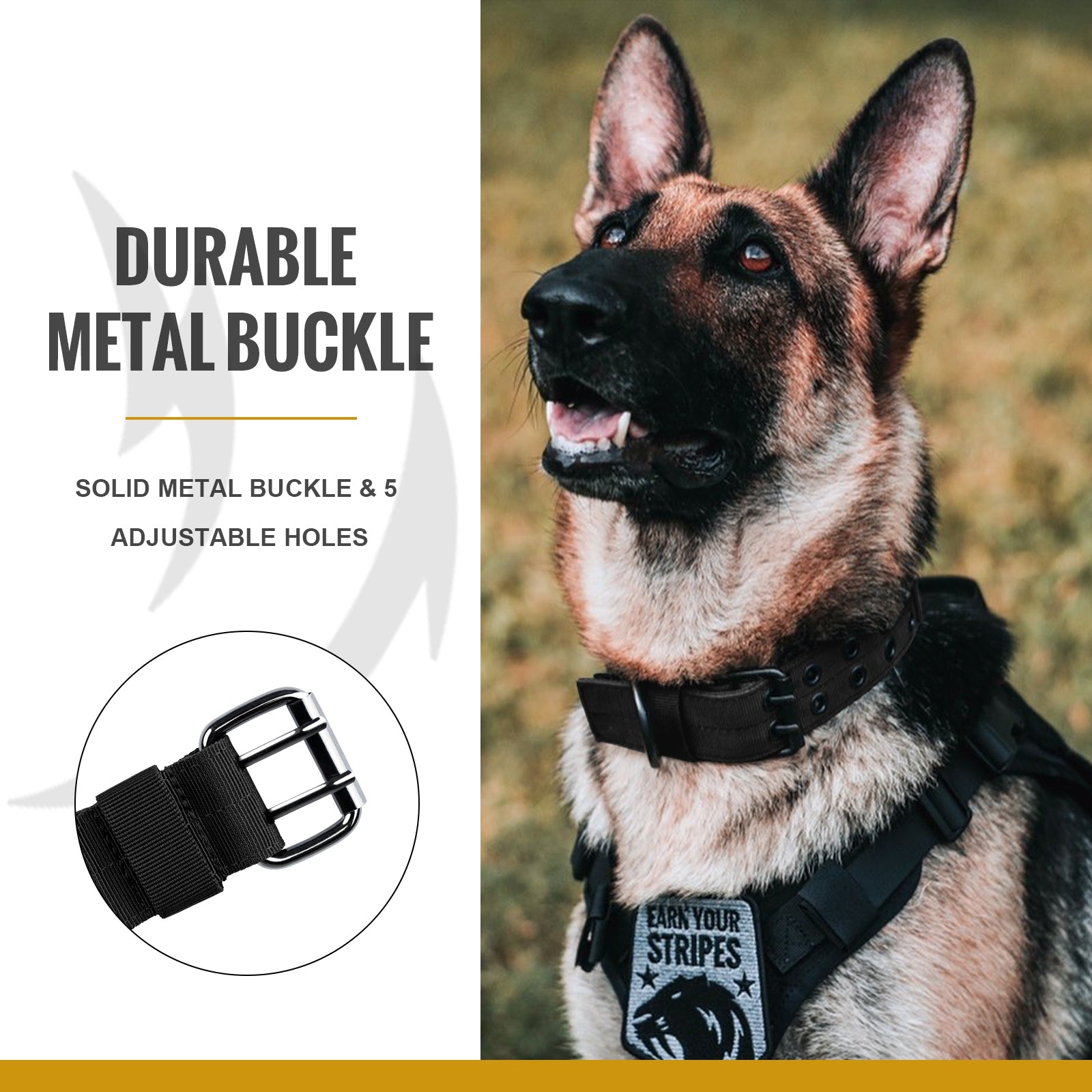 ONETIGRIS - Dog Collar 02