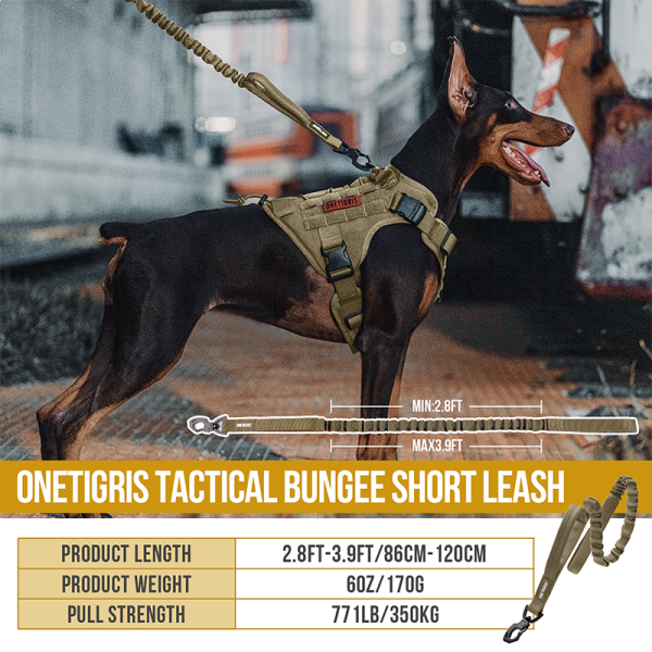 ONETIGRIS- Dog Leash 110 with Tigris Jaw
