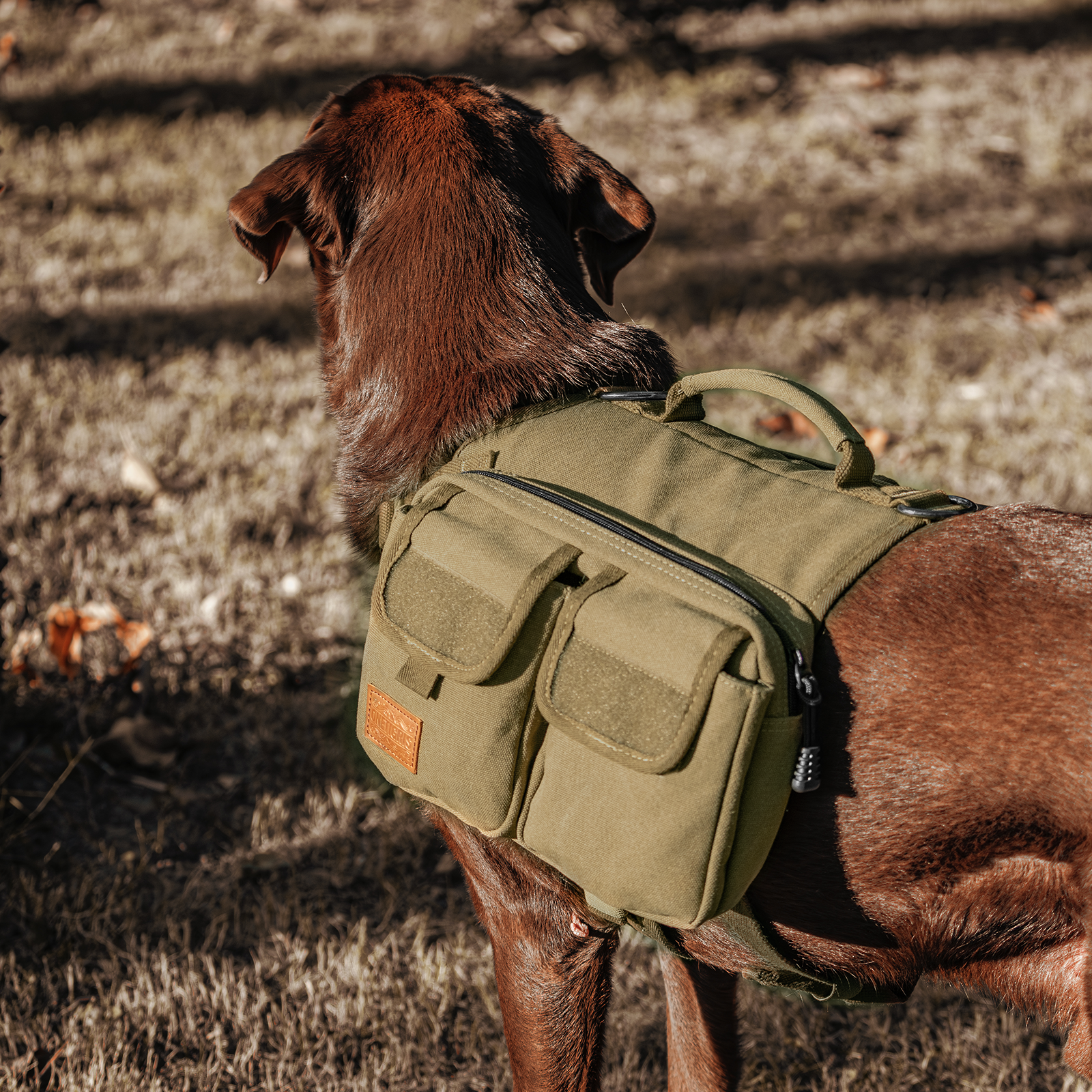 ONETIGRIS - HOPPY CAMPER Dog Pack 3.0