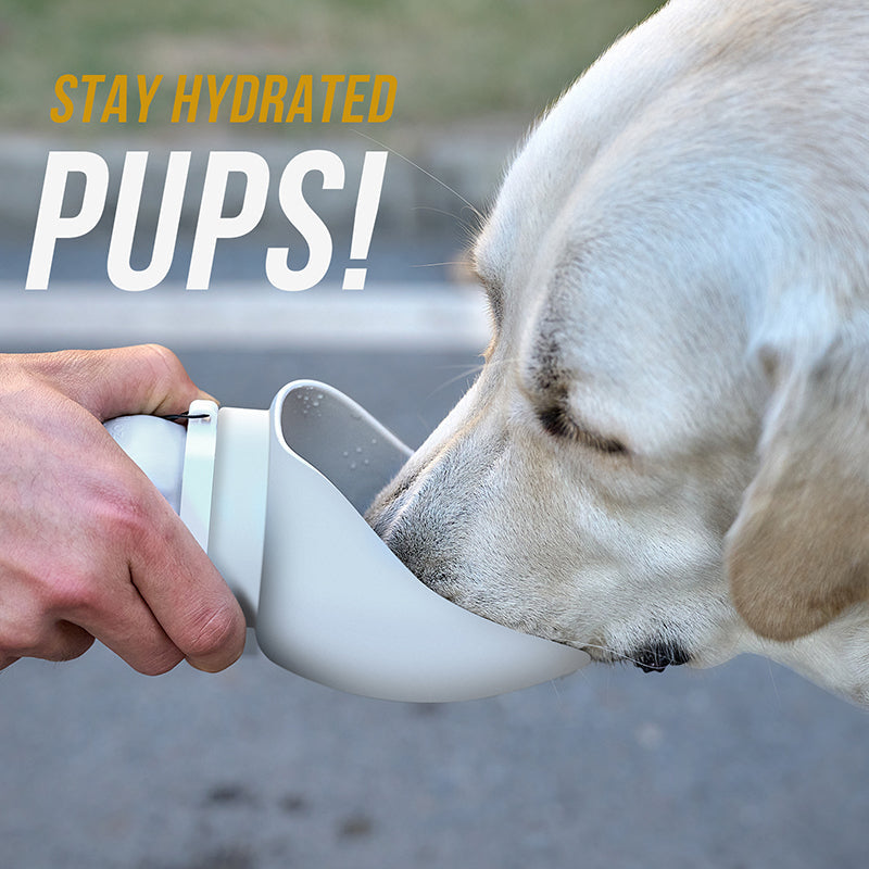 ONETIGRIS - Soft Dog Water Bottle