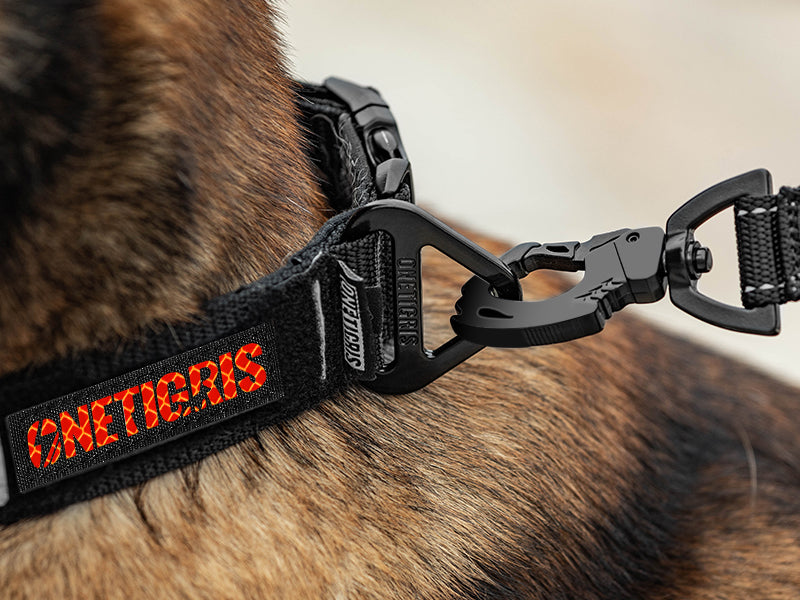 ONETIGRIS - X11 Dog Collar