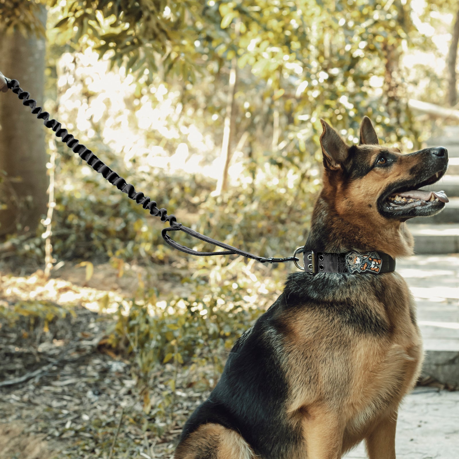 ONETIGRIS - Dog Leash 110