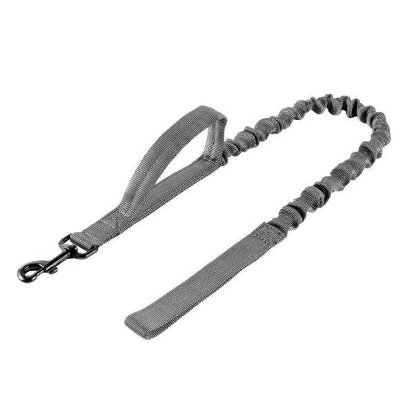 ONETIGRIS - Dog Leash 110