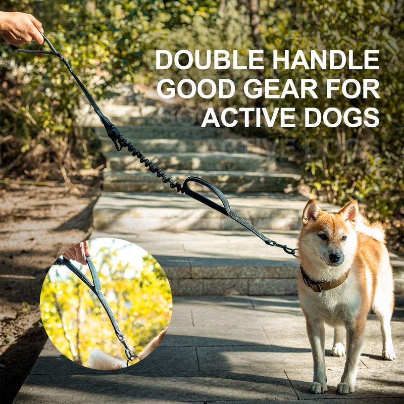 ONETIGRIS - Dog Leash 17
